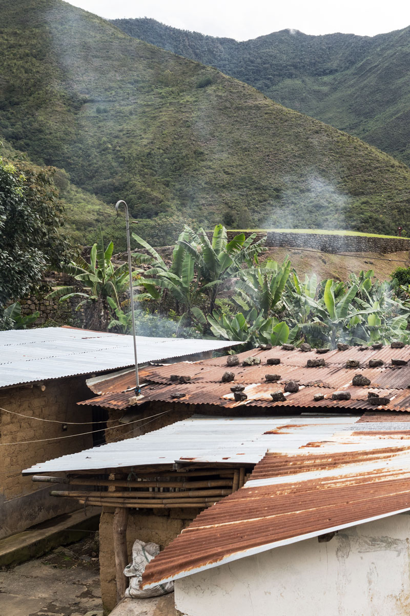 Peru-hot-tin-roof