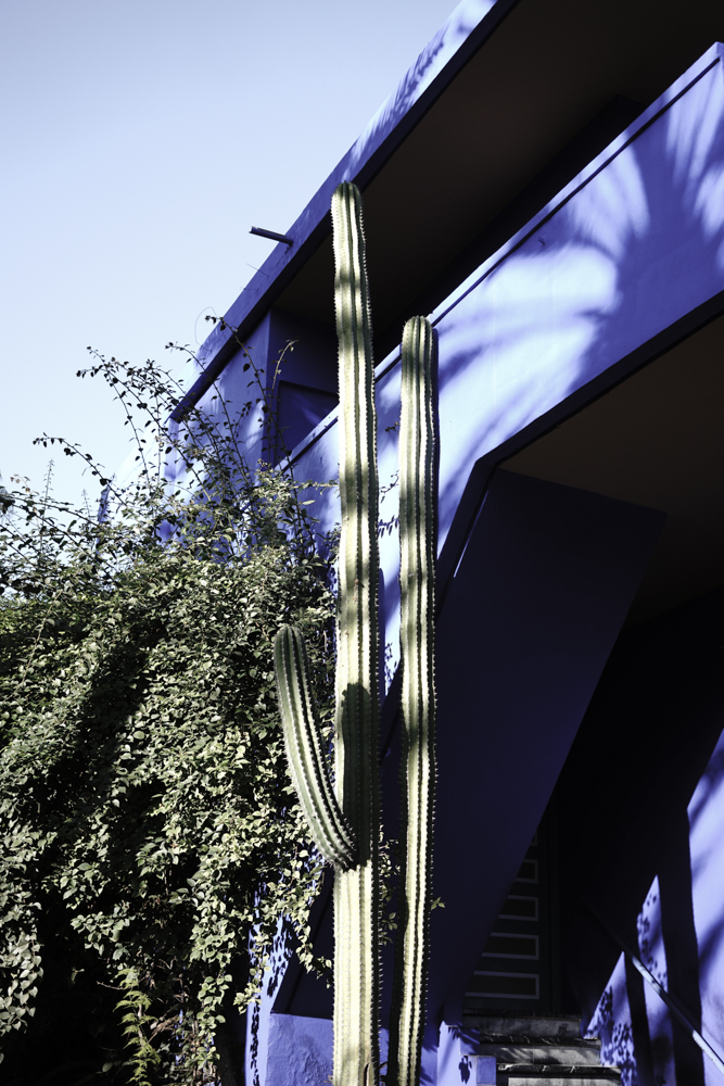 Marrakech_YSL_museum_-6