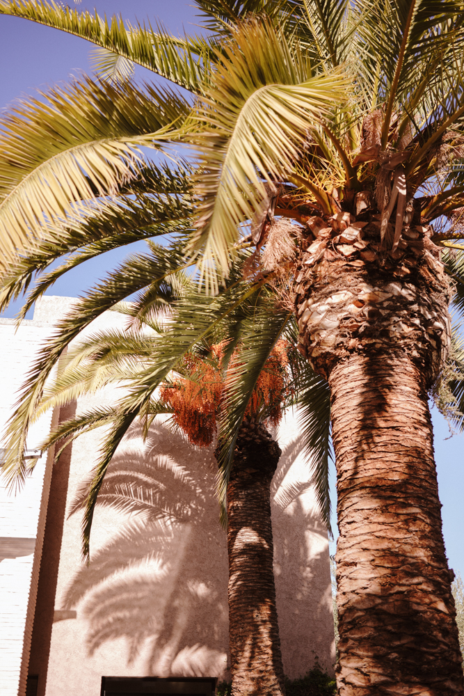 fairmont_royal_palm_marrakech_10
